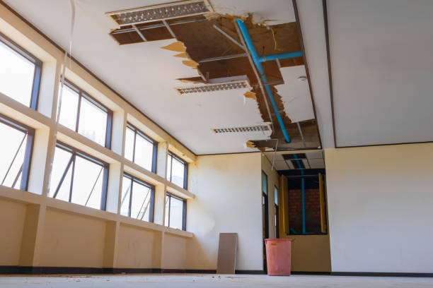 Best Water damage cleanup near me  in Moyock, NC