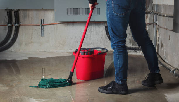 Best Sewage cleanup and water damage restoration  in Moyock, NC