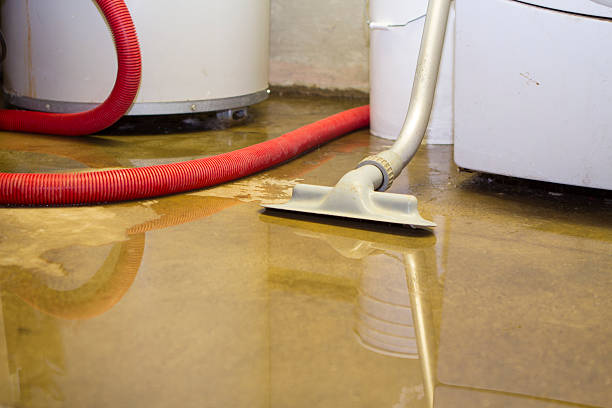 Best Fire Damage Restoration  in Moyock, NC