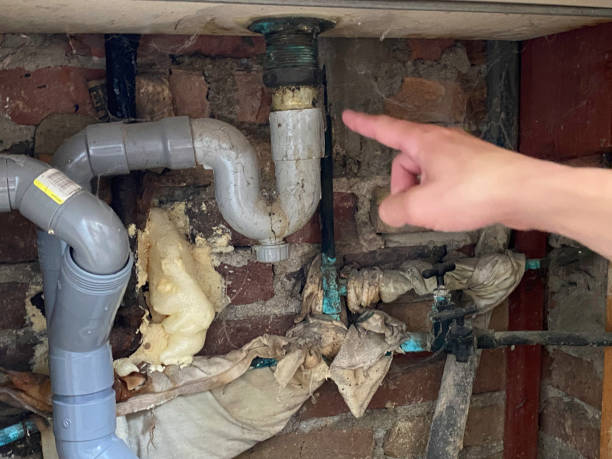 Best Ceiling water damage repair  in Moyock, NC