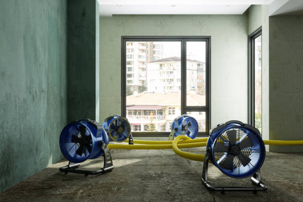 Best Water damage restoration company  in Moyock, NC
